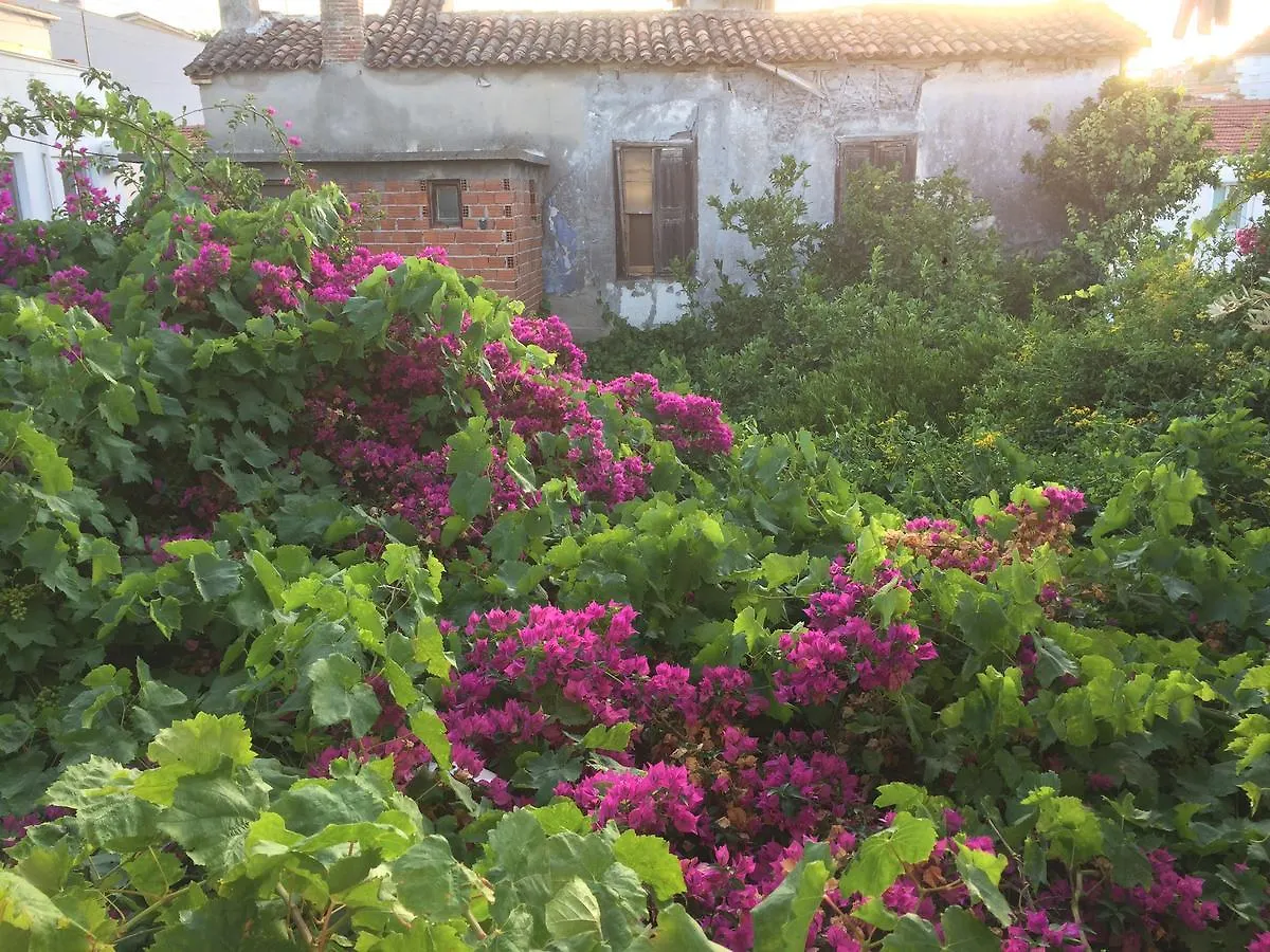 בית אירוח Çeşme Parmis Rooms